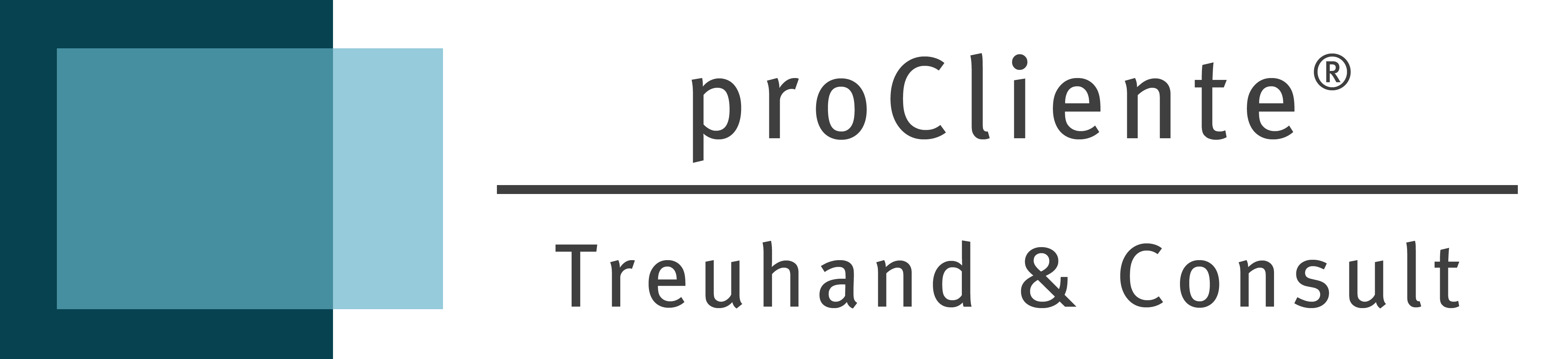 proCliente® Treuhand & Consult
